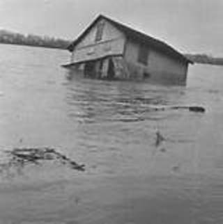 flood image