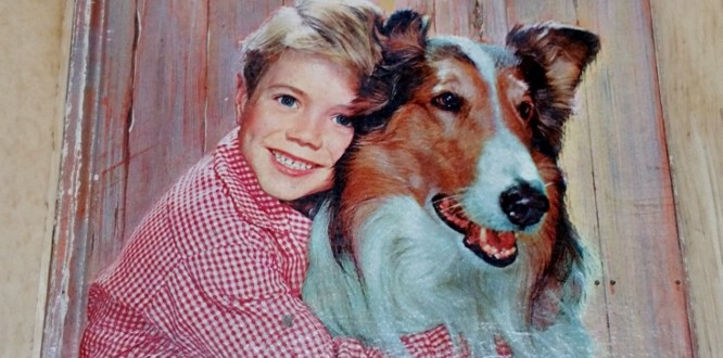 lassie (666x800)